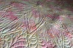 Water Lily